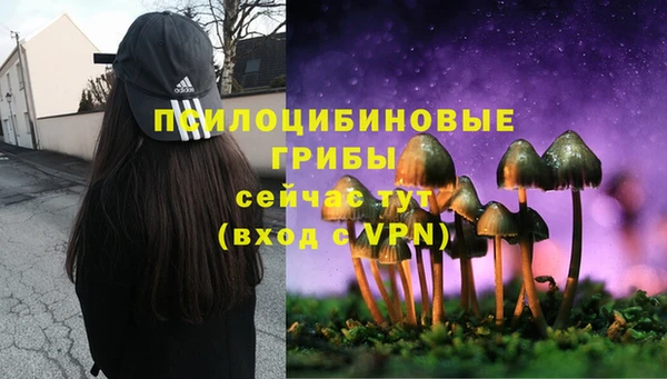 МДПВ Горняк