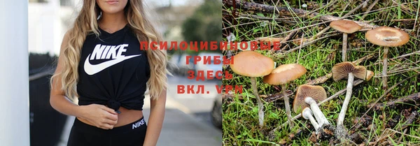 МДПВ Горняк