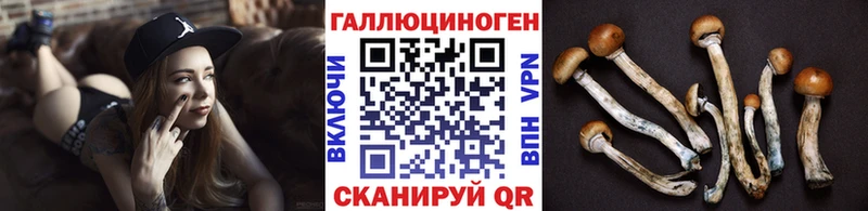 kraken сайт  Петухово  Псилоцибиновые грибы Cubensis 